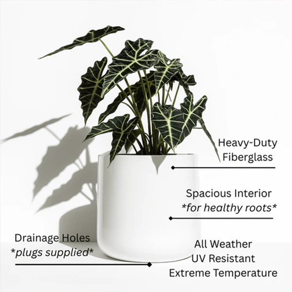 Cylinder Fiberglass Planter3 Cylinder Fiberglass Planter3